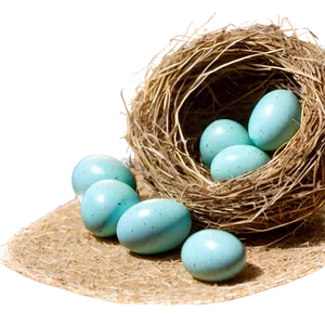 Bird Nest With Robin Eggs PNG 06212024 PNG