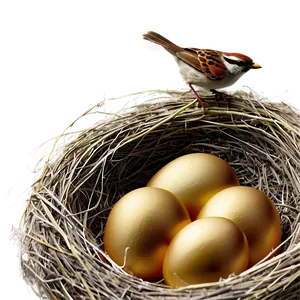 Bird Nest With Sparrow PNG Vhj79 PNG