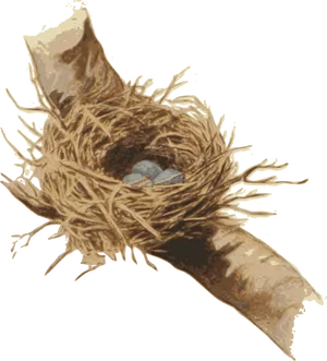 Bird Neston Branchwith Eggs PNG