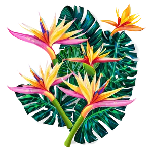 Bird Of Paradise Apparel Print PNG Rwi46
