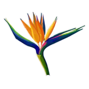 Bird Of Paradise Environmental Poster PNG 54