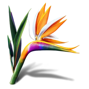 Bird Of Paradise Holiday Decoration PNG 06212024