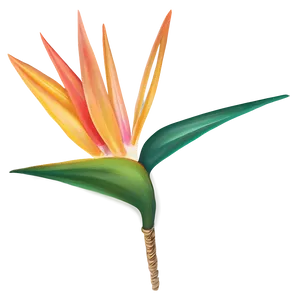 Bird Of Paradise Holiday Decoration PNG Qvo