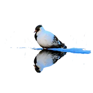 Bird Reflection Png 06112024 PNG image