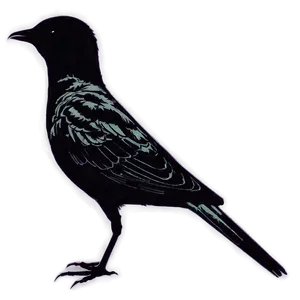 Bird Silhouette Sunset PNG Dlu