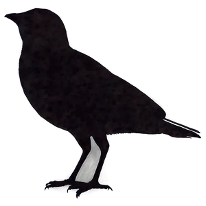 Bird Silhouette Sunset PNG Guy48
