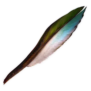 Bird Tail PNG 37 PNG