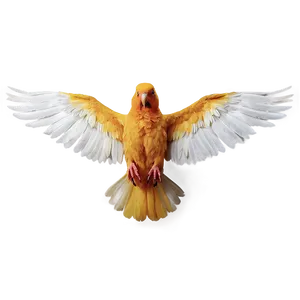 Bird Wings Spread PNG Amp50