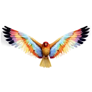 Bird Wings Spread PNG Ian