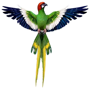 Bird Wings Spread PNG Ogp