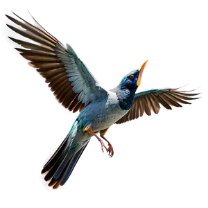 Bird Wings Spread PNG Prx