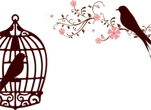 Birdand Cage Silhouette PNG