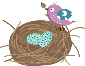 Birdand Eggsin Nest Illustration PNG
