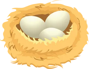 Birds Eggsin Nest Illustration PNG image