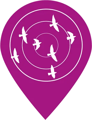 Birdsin Flight Navigation Icon PNG image