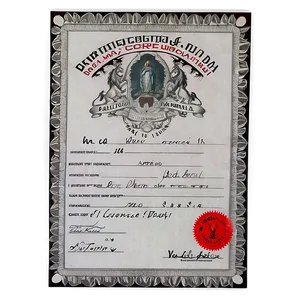 Birth Certificate Document Png 45 PNG image
