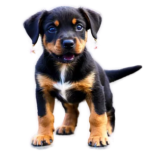 Birthday Puppy PNG Quj PNG
