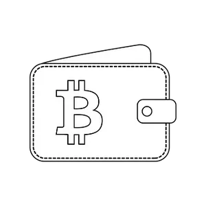 Bitcoin Wallet Icon