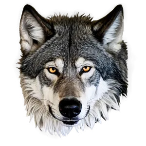 Black And White Alpha Wolf Png Tja31 PNG image