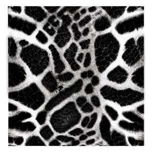 Black And White Animal Print Png 06252024 PNG image