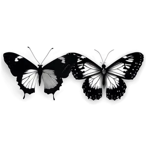 Black And White Butterflies Png 44 PNG image