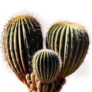 Black And White Cactus Png 97 PNG image