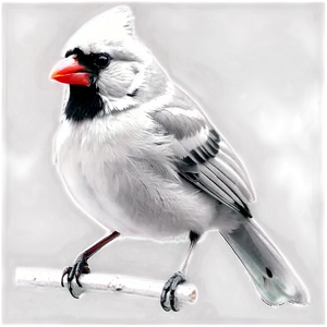 Black And White Cardinal Png 76 PNG image