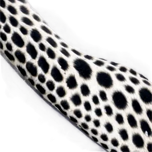 Black And White Cheetah Print PNG Ies7