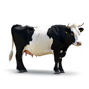 Black And White Cow Png 05032024 PNG image