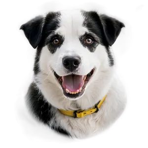 Black And White Dog Face PNG 6 PNG