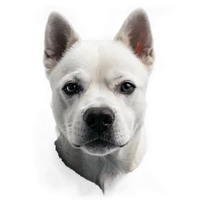 Black And White Dog Face Png Uar PNG image