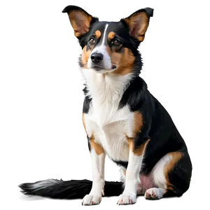Black And White Dogs PNG 05242024
