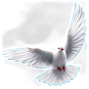 Black And White Dove Clipart Png 7 PNG image