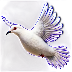 Black And White Dove Clipart Png 9 PNG image