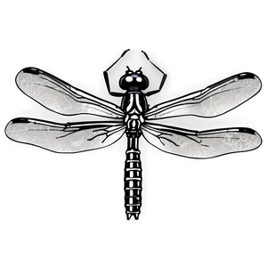 Black And White Dragonfly PNG 05212024 PNG