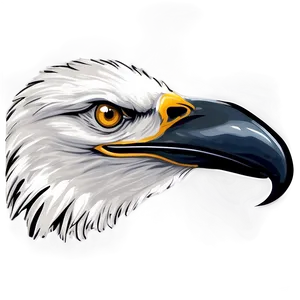 Black And White Eagle Head PNG 06292024