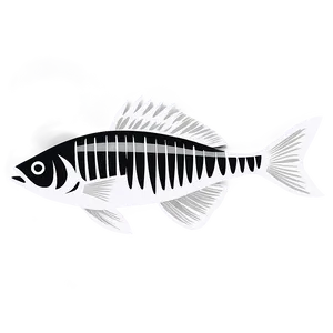 Black And White Fish Transparent PNG 70 PNG