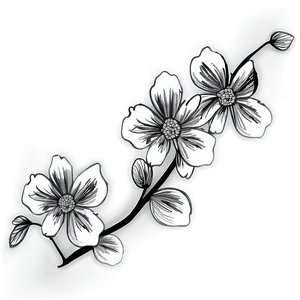 Black And White Floral Art Png 05252024 PNG image
