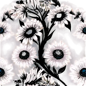 Black And White Floral Art Png 05252024 PNG image