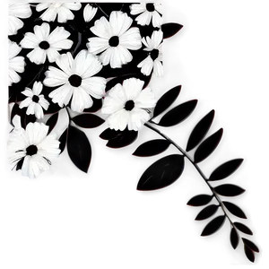 Black And White Floral Art Png 63 PNG image