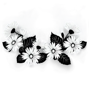 Black And White Floral Clipart PNG 06282024 PNG
