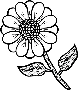 Black And White Floral Illustration PNG image