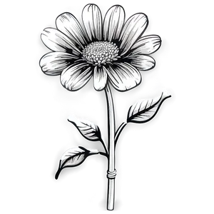 Black And White Flower Clipart Png Syx44 PNG image