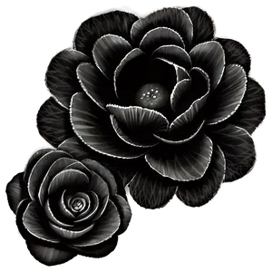 Black And White Flower Drawing Png 05252024 PNG image
