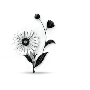 Black And White Flower Drawing Png Uno PNG image