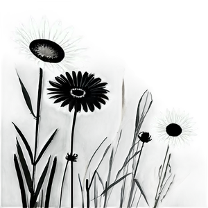 Black And White Flower Field Png 05252024 PNG image
