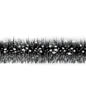 Black And White Flower Field Png Ltw88 PNG image