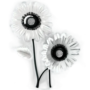 Black And White Flower Illustration Png 05252024 PNG image