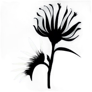 Black And White Flower Silhouette Png Tya96 PNG image
