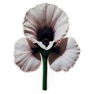 Black And White Flower Sticker PNG Whp PNG